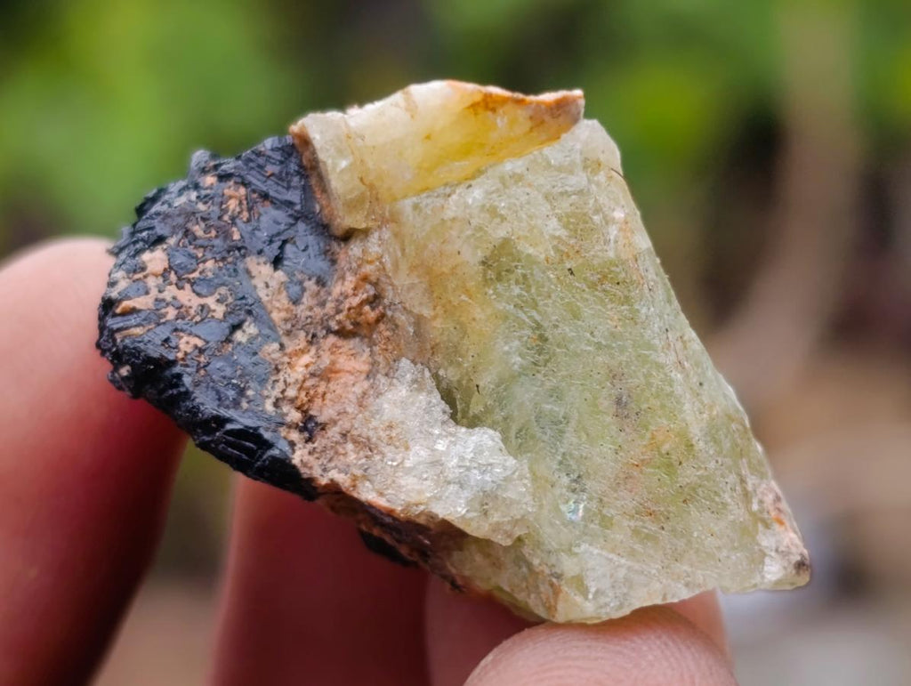 Natural Rare Aquamarine in Black Tourmaline Specimens x 70 From Karibib, Namibia - Toprock Gemstones and Minerals 