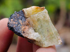 Natural Rare Aquamarine in Black Tourmaline Specimens x 70 From Karibib, Namibia - Toprock Gemstones and Minerals 
