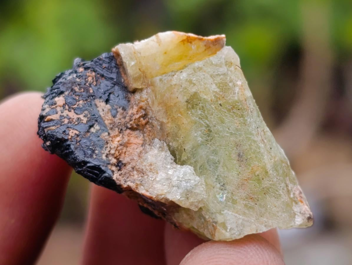 Natural Rare Aquamarine in Black Tourmaline Specimens x 70 From Karibib, Namibia - Toprock Gemstones and Minerals 