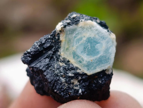 Natural Rare Aquamarine in Black Tourmaline Specimens x 70 From Karibib, Namibia - Toprock Gemstones and Minerals 