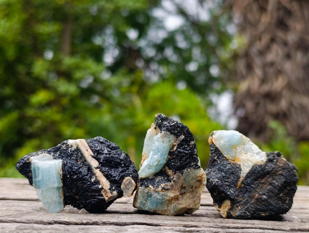 Natural Rare Aquamarine in Black Tourmaline Specimens x 70 From Karibib, Namibia - Toprock Gemstones and Minerals 