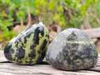 Polished Leopard Stone Free Forms x 12 From Zimbabwe - Toprock Gemstones and Minerals 