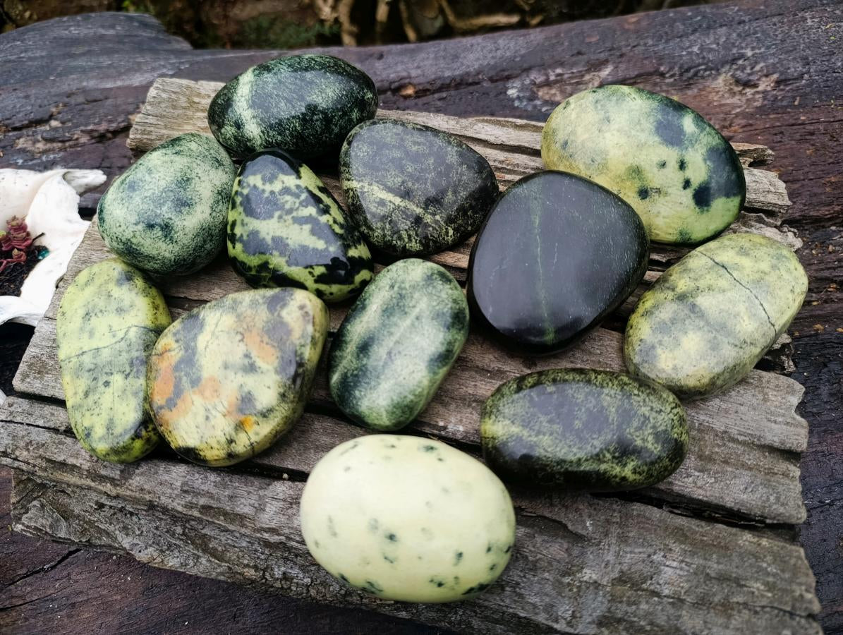 Polished Leopard Stone Free Forms x 12 From Zimbabwe - Toprock Gemstones and Minerals 