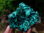 Natural Silky Malachite Specimens x 6 From Kasompe, Congo - Toprock Gemstones and Minerals 