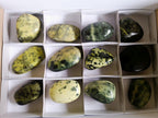 Polished Leopard Stone Free Forms x 12 From Zimbabwe - Toprock Gemstones and Minerals 