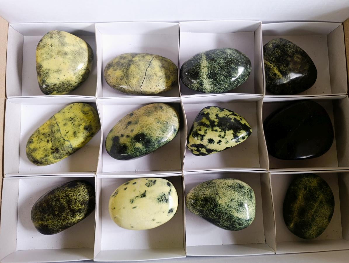 Polished Leopard Stone Free Forms x 12 From Zimbabwe - Toprock Gemstones and Minerals 