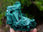 Natural Silky Malachite Specimens x 6 From Kasompe, Congo - Toprock Gemstones and Minerals 