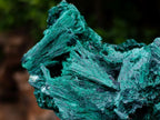 Natural Silky Malachite Specimens x 6 From Kasompe, Congo - Toprock Gemstones and Minerals 