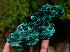 Natural Silky Malachite Specimens x 6 From Kasompe, Congo - Toprock Gemstones and Minerals 