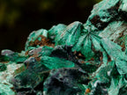 Natural Silky Malachite Specimens x 6 From Kasompe, Congo - Toprock Gemstones and Minerals 