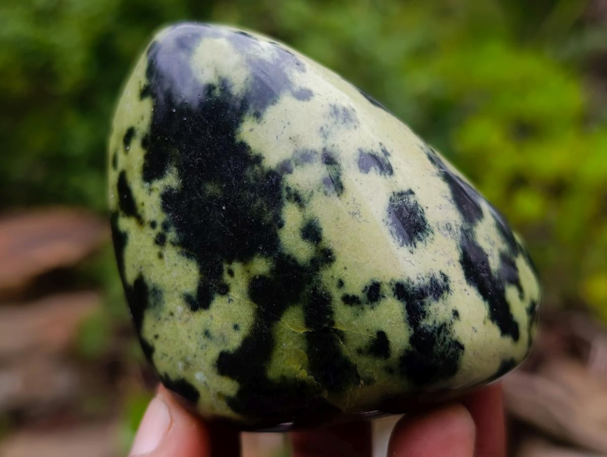 Polished Leopard Stone Free Forms x 12 From Zimbabwe - Toprock Gemstones and Minerals 