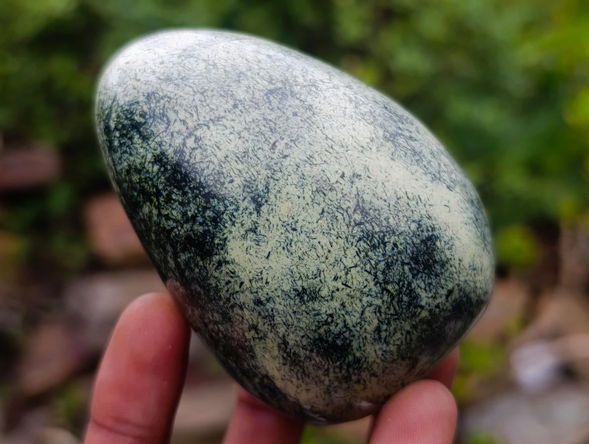 Polished Leopard Stone Free Forms x 12 From Zimbabwe - Toprock Gemstones and Minerals 