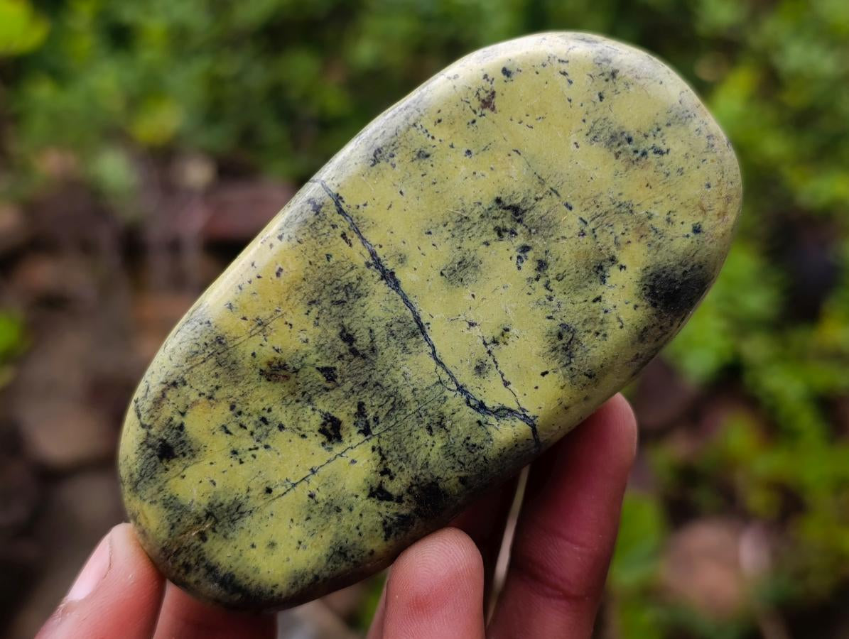 Polished Leopard Stone Free Forms x 12 From Zimbabwe - Toprock Gemstones and Minerals 