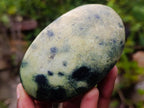 Polished Leopard Stone Free Forms x 12 From Zimbabwe - Toprock Gemstones and Minerals 