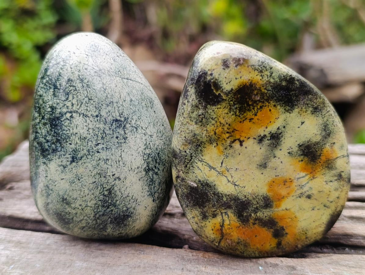 Polished Leopard Stone Free Forms x 12 From Zimbabwe - Toprock Gemstones and Minerals 