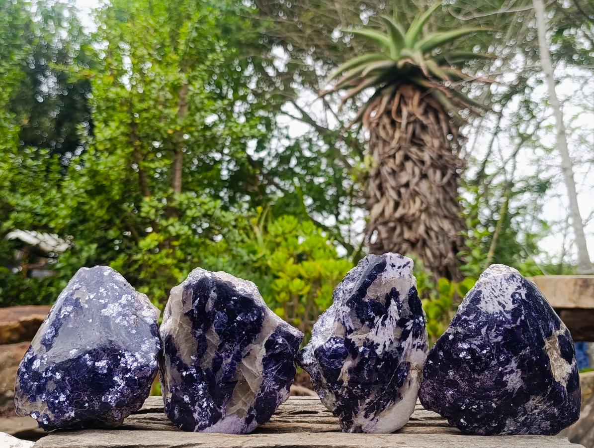 Polished Large One Side Silver Leaf Lepidolite Slices x 4 From Zimbabwe - Toprock Gemstones and Minerals 