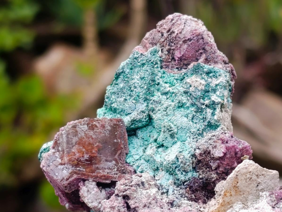 Natural Salrose Cobaltoan Dolomite Specimens with Malachite and Chrysocolla x 6 From Kakanda, Congo - Toprock Gemstones and Minerals 