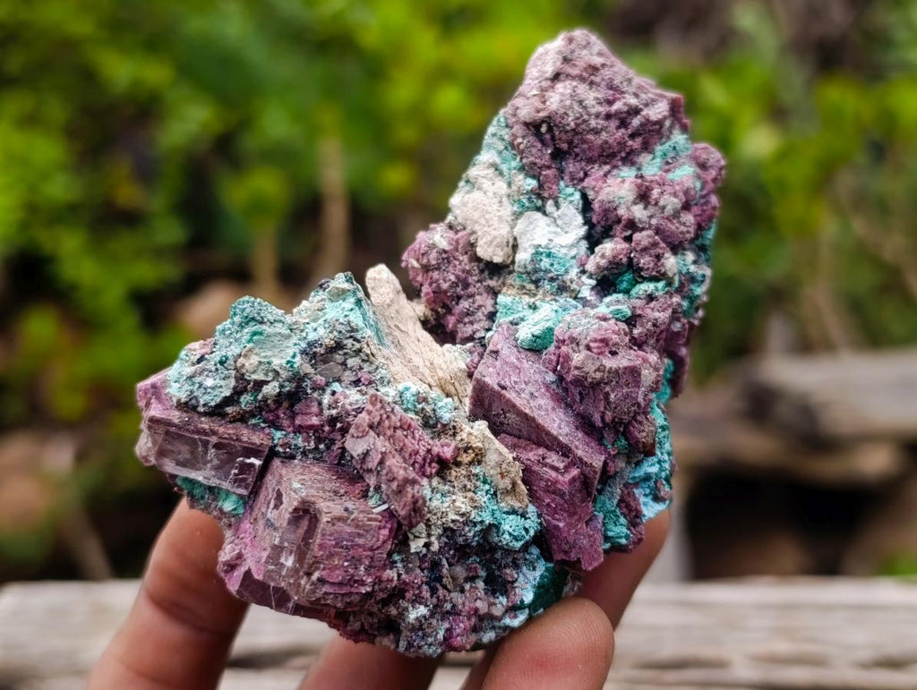 Natural Salrose Cobaltoan Dolomite Specimens with Malachite and Chrysocolla x 6 From Kakanda, Congo - Toprock Gemstones and Minerals 