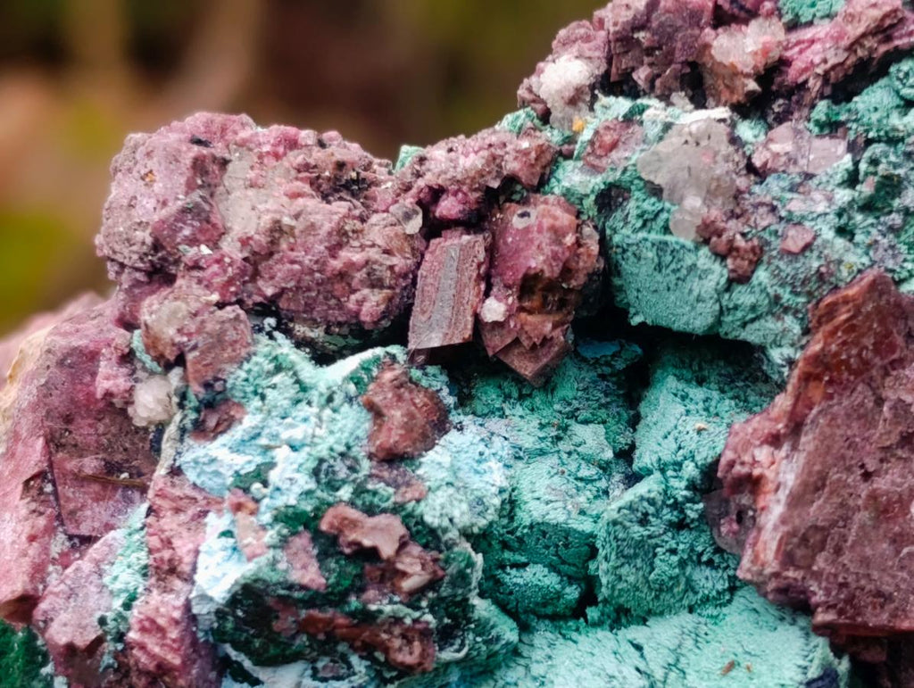 Natural Salrose Cobaltoan Dolomite Specimens with Malachite and Chrysocolla x 6 From Kakanda, Congo - Toprock Gemstones and Minerals 