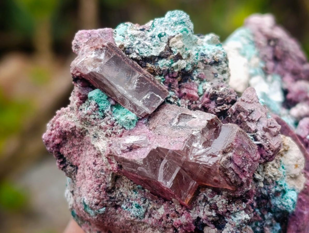 Natural Salrose Cobaltoan Dolomite Specimens with Malachite and Chrysocolla x 6 From Kakanda, Congo - Toprock Gemstones and Minerals 