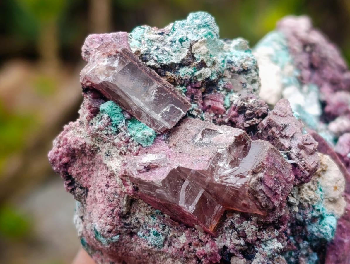 Natural Salrose Cobaltoan Dolomite Specimens with Malachite and Chrysocolla x 6 From Kakanda, Congo - Toprock Gemstones and Minerals 