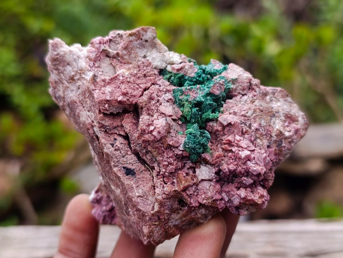 Natural Salrose Cobaltoan Dolomite Specimens with Malachite and Chrysocolla x 6 From Kakanda, Congo - Toprock Gemstones and Minerals 