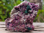 Natural Salrose Cobaltoan Dolomite Specimens with Malachite and Chrysocolla x 6 From Kakanda, Congo - Toprock Gemstones and Minerals 
