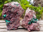 Natural Salrose Cobaltoan Dolomite Specimens with Malachite and Chrysocolla x 6 From Kakanda, Congo - Toprock Gemstones and Minerals 