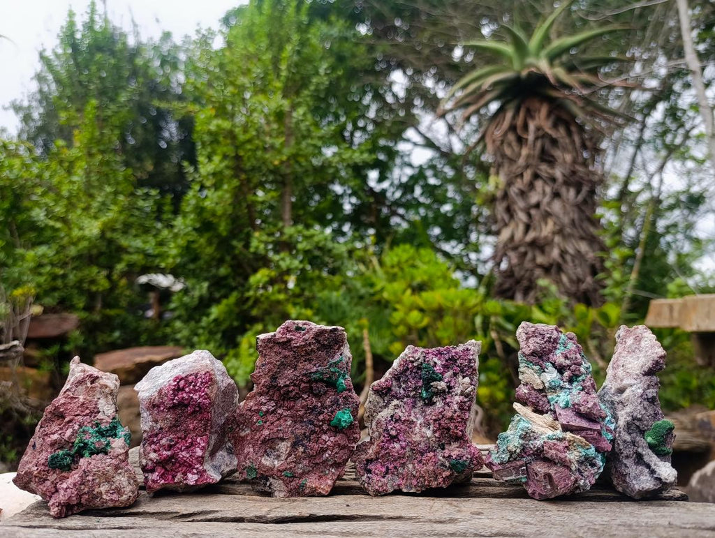 Natural Salrose Cobaltoan Dolomite Specimens with Malachite and Chrysocolla x 6 From Kakanda, Congo - Toprock Gemstones and Minerals 
