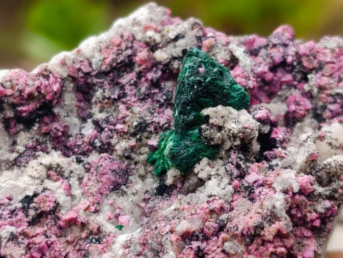 Natural Salrose Cobaltoan Dolomite Specimens with Malachite and Chrysocolla x 6 From Kakanda, Congo - Toprock Gemstones and Minerals 