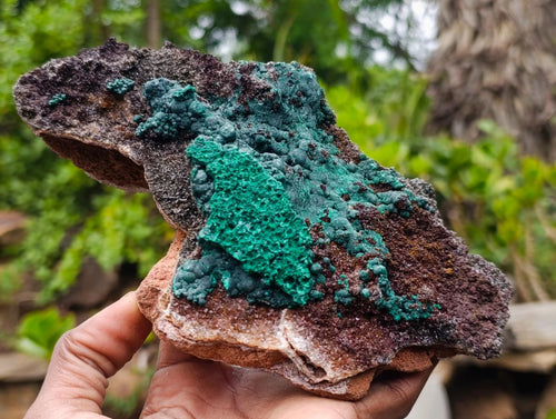Natural Large Botryoidal Crystalline Malachite Specimen on Dolomite Matrix x 1 From Mudinga, Congo - Toprock Gemstones and Minerals 