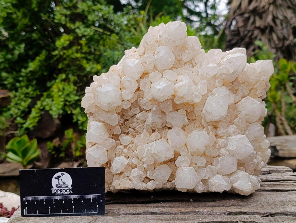 Natural Large Cascading "Anananas" Candle Quartz Cluster x 1 From Antsirabe, Madagascar - Toprock Gemstones and Minerals 