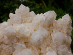Natural Large Cascading "Anananas" Candle Quartz Cluster x 1 From Antsirabe, Madagascar - Toprock Gemstones and Minerals 