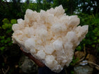 Natural Large Cascading "Anananas" Candle Quartz Cluster x 1 From Antsirabe, Madagascar - Toprock Gemstones and Minerals 