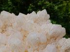 Natural Large Cascading "Anananas" Candle Quartz Cluster x 1 From Antsirabe, Madagascar - Toprock Gemstones and Minerals 