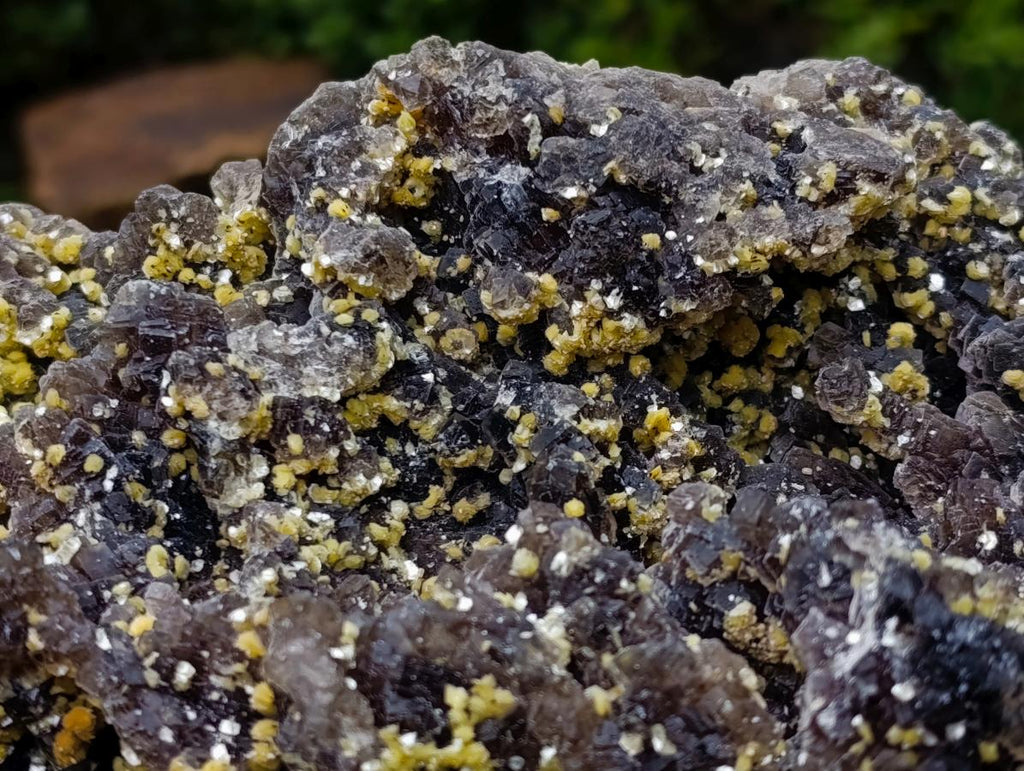 Natural XL Smokey Fluorite Specimen with Yellow Muscovite Mica x 1 From Erongo, Namibia - Toprock Gemstones and Minerals 