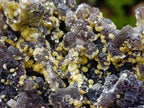 Natural XL Smokey Fluorite Specimen with Yellow Muscovite Mica x 1 From Erongo, Namibia - Toprock Gemstones and Minerals 