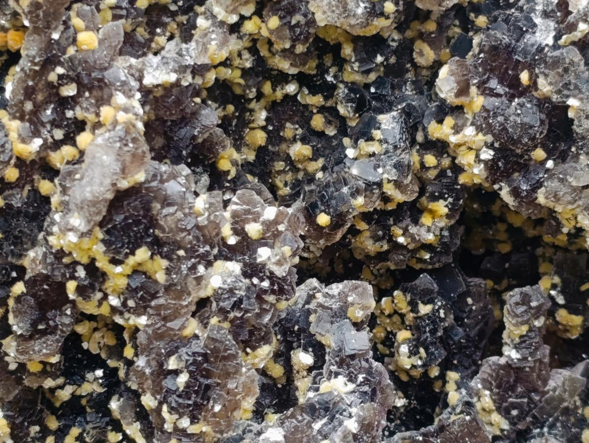 Natural XL Smokey Fluorite Specimen with Yellow Muscovite Mica x 1 From Erongo, Namibia - Toprock Gemstones and Minerals 