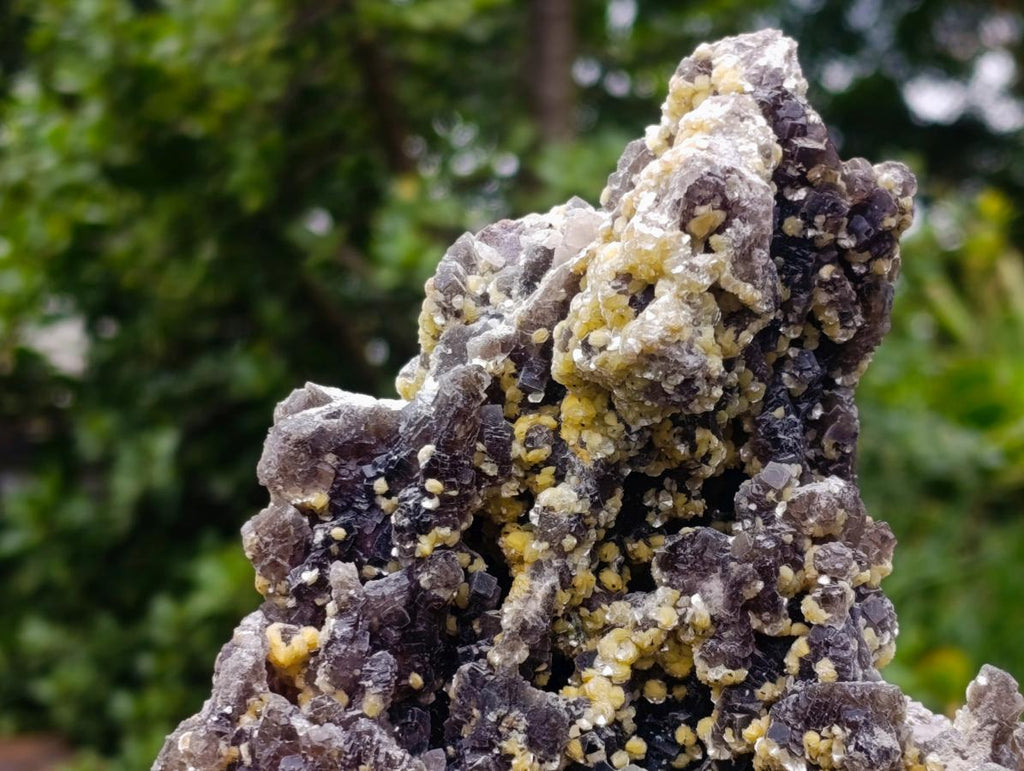 Natural XL Smokey Fluorite Specimen with Yellow Muscovite Mica x 1 From Erongo, Namibia - Toprock Gemstones and Minerals 