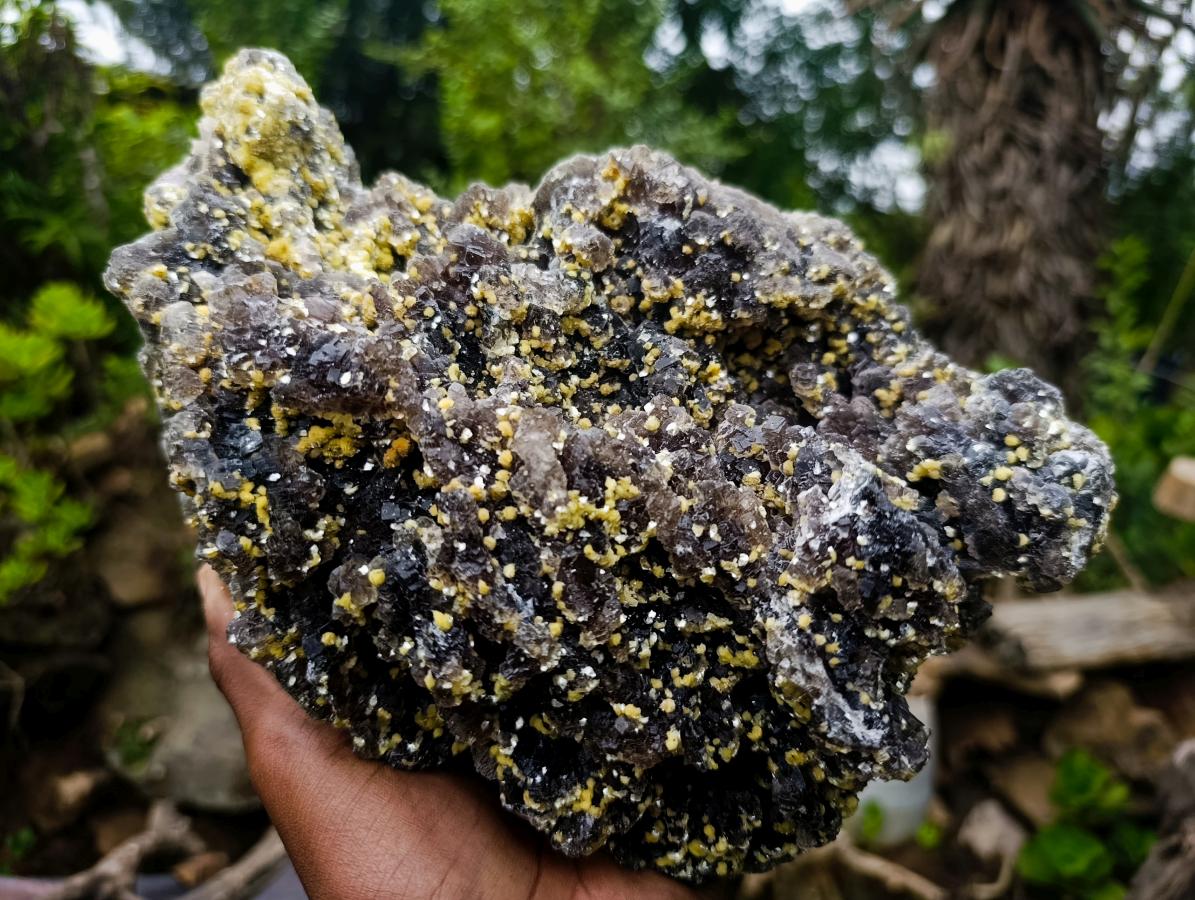 Natural XL Smokey Fluorite Specimen with Yellow Muscovite Mica x 1 From Erongo, Namibia - Toprock Gemstones and Minerals 