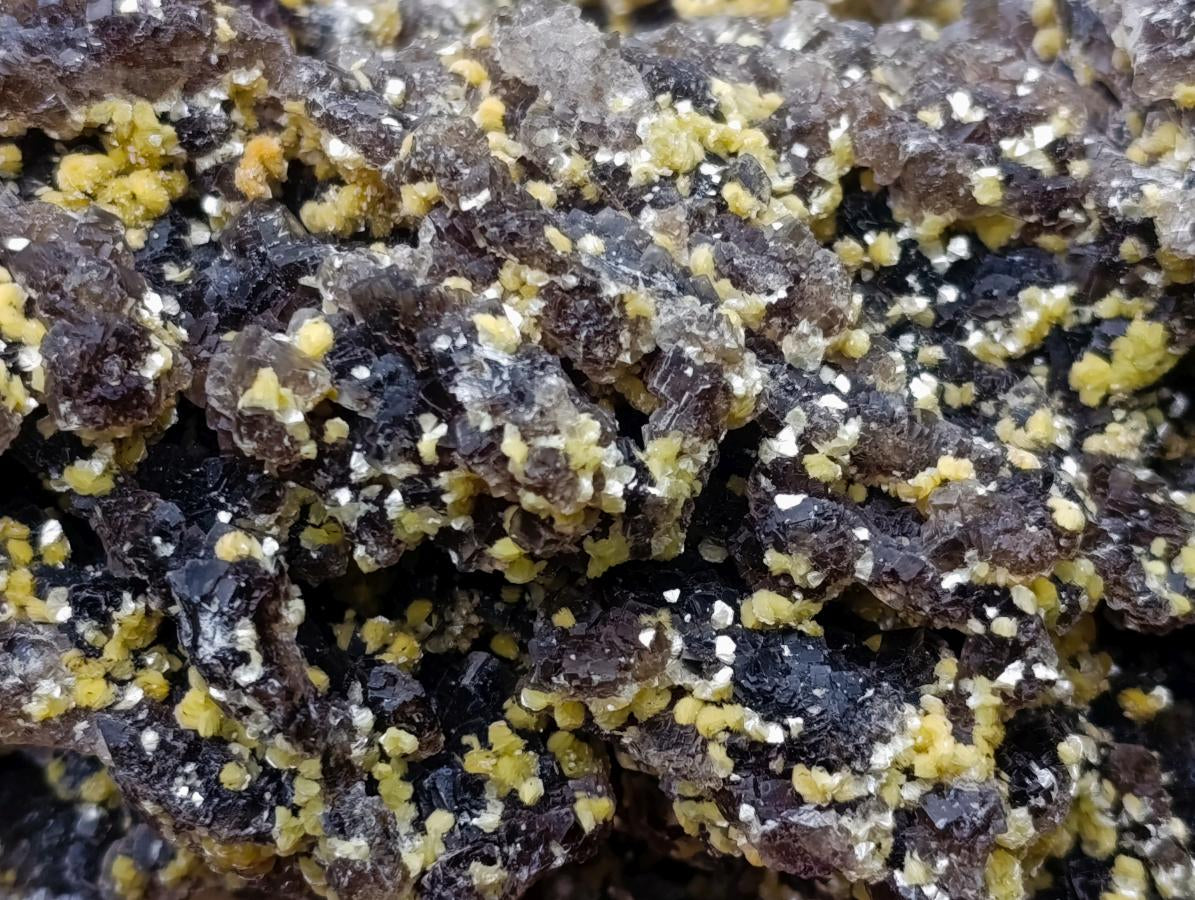 Natural XL Smokey Fluorite Specimen with Yellow Muscovite Mica x 1 From Erongo, Namibia - Toprock Gemstones and Minerals 