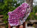 Natural Salrose Cobaltoan Dolomite Specimens x 4 From Kakanda, Congo - Toprock Gemstones and Minerals 