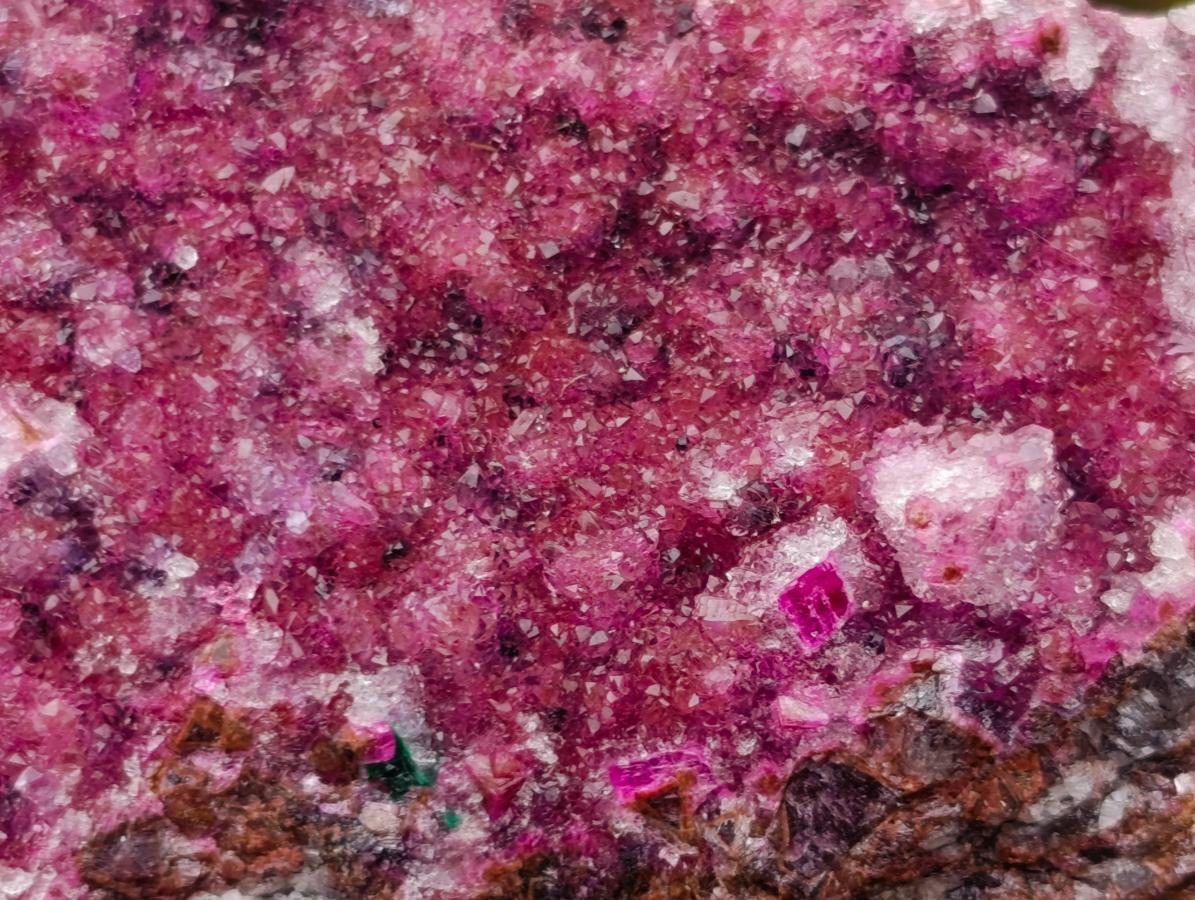 Natural Salrose Cobaltoan Dolomite Specimens x 4 From Kakanda, Congo - Toprock Gemstones and Minerals 