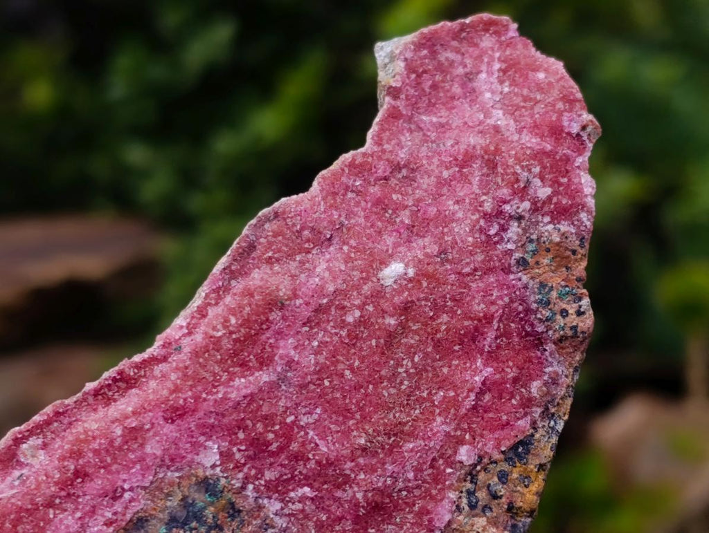 Natural Salrose Cobaltoan Dolomite Specimens x 4 From Kakanda, Congo - Toprock Gemstones and Minerals 