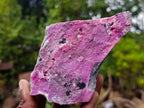 Natural Salrose Cobaltoan Dolomite Specimens x 4 From Kakanda, Congo - Toprock Gemstones and Minerals 