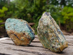 Natural Kyanite Crystals in Fuchsite Cobbed Specimens x 6 From Zimbabwe - Toprock Gemstones and Minerals 
