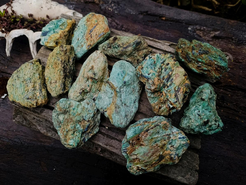 Natural Kyanite Crystals in Fuchsite Cobbed Specimens x 6 From Zimbabwe - Toprock Gemstones and Minerals 