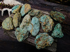 Natural Kyanite Crystals in Fuchsite Cobbed Specimens x 6 From Zimbabwe - Toprock Gemstones and Minerals 