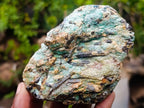 Natural Kyanite Crystals in Fuchsite Cobbed Specimens x 6 From Zimbabwe - Toprock Gemstones and Minerals 