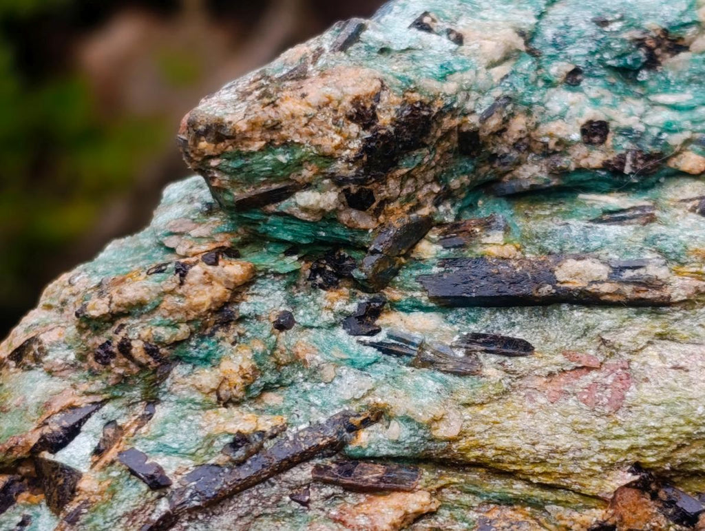 Natural Kyanite Crystals in Fuchsite Cobbed Specimens x 6 From Zimbabwe - Toprock Gemstones and Minerals 